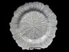Glass Silver Sponge Charger rental in Philadelphia, PA