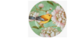 Cherry Blossom Robin Charger rental in Denver, CO