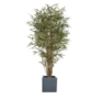 Bamboo Tree rental in Chicago, IL