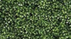 Greenery Wall  4 by 8 Backdrop rental in Denver, CO