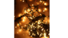 Twinkle Fairy Lights rental in Denver, CO