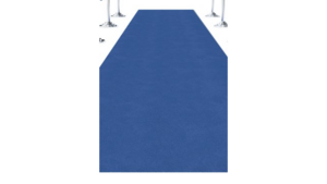 Blue Carpet 20 feet rental Denver, CO