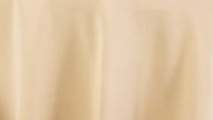 108" Champagne/Taupe rental Houston, TX