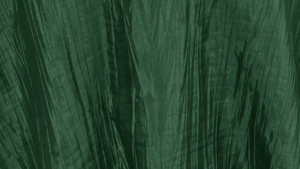132" Hunter Green Accordion Linen rental Houston, TX