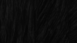 90x132" Black Accordion rental Houston, TX