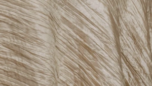 90x132" Champagne Accordion rental Houston, TX