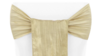 Champagne Sash rental in Houston, TX