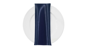 Navy Blue Satin Dinner Napkin rental Houston, TX