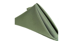 Olive Green Poly Dinner Napkin rental Houston, TX