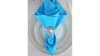Turquoise Dinner Napkin rental in Houston, TX