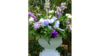 Columns White Urns Pair Small rental in Fresno-Armona, CA