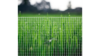 Fence Sections rental in Fresno-Armona, CA