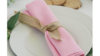 Napkins 20 x 20 Pastel Pink rental in Fresno-Armona, CA