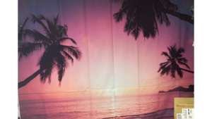 Backdrop 10 x 10 Tropical Sunset rental Fresno-Armona, CA