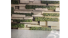 Back Drop Boxes of Boxwoods rental in Fresno-Armona, CA