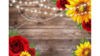 Backdrop Sunflowers and Red roses 8 x 6 rental in Fresno-Armona, CA