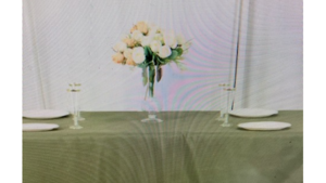 60 x 120 Olive/ Eucalyptus Green rental Fresno-Armona, CA