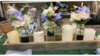 Event Decor Small Wood Box 25 inches long rental in Fresno-Armona, CA