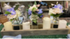 Event Decor Large Wooden Box 50 inches long rental in Fresno-Armona, CA