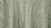 90 x 132 Table Drape Tafetta Sage Green rental in Fresno-Armona, CA