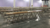 Bone/Beige Metal Folding Chair rental in N. Virginia-DC, VA