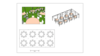 Tent: 20'x40' Classic Frame Tent rental in N. Virginia-DC, VA