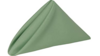 Napkin: 20"x20"- Sage rental in N. Virginia-DC, VA