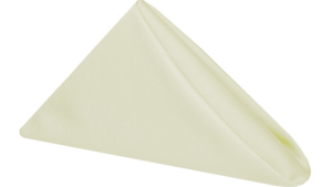 Linen: 20 x 20 Napkins - Ivory rental N. Virginia-DC, VA