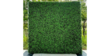 Backdrop: 8ft Tall x 8 ft Wide Boxwood Wall rental in N. Virginia-DC, VA