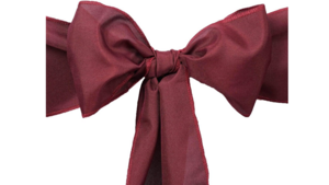 Sash - Burgundy rental N. Virginia-DC, VA
