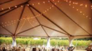 Lights: Radial Tent Lighting rental N. Virginia-DC, VA