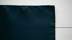 Majestic Navy Napkin rental Greater Northern Michigan