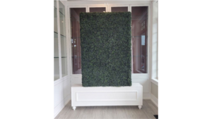 4 Foot Boxwood Wall rental Greater Northern Michigan