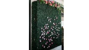 6 Foot Boxwood Wall rental Greater Northern Michigan