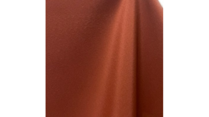 Napkin - Rust rental Orlando, FL