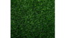Turf rental in Lafayette, IN