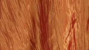 Crinkle Taffeta - Fire Orange 230 - 132 Rnd rental San Antonio, TX