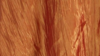 Crinkle Taffeta - Fire Orange 230 - 6 x 108 (Sash) rental in San Antonio, TX