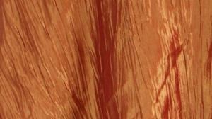 Crinkle Taffeta - Fire Orange 230 - 8 x 108 (Sash) rental San Antonio, TX