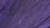 Crinkle Taffeta - Purple 1032 - 6 x 108 (Sash) rental in San Antonio, TX
