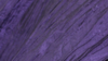 Crinkle Taffeta - Purple 1032 - 8 x 108 (Sash) rental in San Antonio, TX