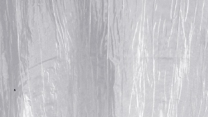 Crinkle Taffeta - White 126 - 90x156 rental San Antonio, TX