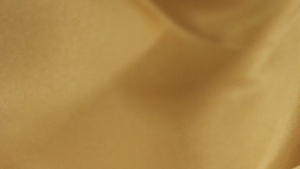 Lamour Matte Satin - Gold 226 - 13 x 120 (Runner) rental San Antonio, TX
