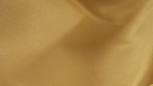 Lamour Matte Satin - Gold 226 - 18 x 120 (Runner) rental San Antonio, TX