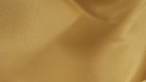 Lamour Matte Satin - Gold 226 - 54x54 rental San Antonio, TX