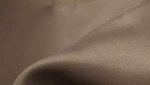 Lamour Matte Satin - Latte 360 - 120x156 rental San Antonio, TX