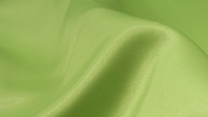 Lamour Matte Satin - Puchi Lime 742 - 108x156 rental San Antonio, TX