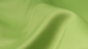 Lamour Matte Satin - Puchi Lime 742 - 18 x 120 ... rental San Antonio, TX