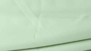 Polyester - Mint 730 - 90x132 rental San Antonio, TX