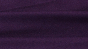 Polyester - Plum 1034 - 120x156 rental San Antonio, TX